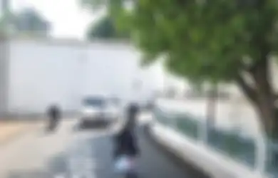 Punya Aura Mistis, Ternyata Ini Maksud Dibangunnya Supit Urang di Area Keraton Surakarta