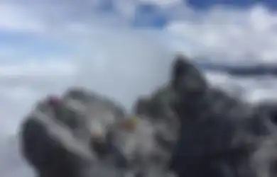 Siapa Sosok di Balik Pendakian Sukses Pertama Puncak Carstensz?