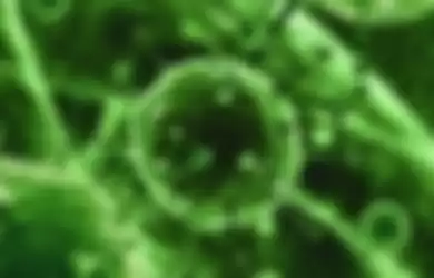 Waspada 9 Virus Paling Mematikan di Bumi