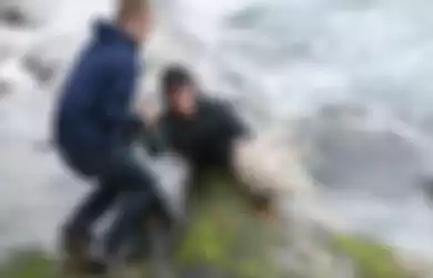 Seorang cowok berusaha menyelamatkan domba yang nyaris tenggelam. Terharu!