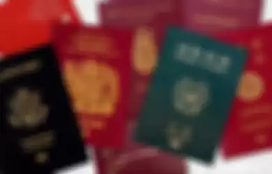 Ternyata Cuma Ada 4 Warna Paspor Di Dunia! 
