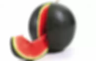 Densuke Black Melon