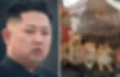 Kim Jong Un minta rakyatnya makan daging anjing
