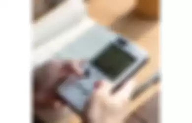 Casing Game Boy dari Wanle