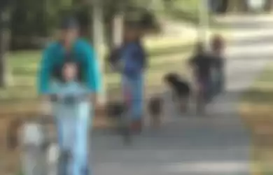 Dog Powered Scooter yang Unik