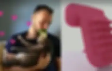 Licki Brush, Sikat untuk Menjilat Kucing Peliharaan Kita