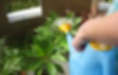 Beberapa Kebiasaan Gaya Hidup Ramah Lingkungan yang Juga Bikin Hemat Pengeluaran (2)
