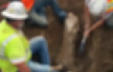 Fosil Makhluk Zaman Es Ditemukan di Lahan Konstruksi di Selatan California