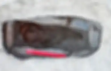 Arkeolog Menemukan Mumi Bayi Berusia 1.500 Tahun yang Dianggap Memiliki Kaitan dengan Leluhur Attila Sang Hun
