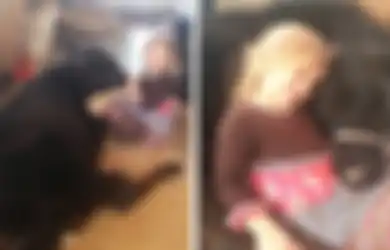 Breanna, Bocah 5 Tahun yang Menyelundupkan Izzy, Sapi Teman Baiknya untuk Diajak Tidur Siang