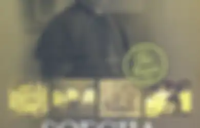 Soegijapranata, Romo Kanjeng dari Solo