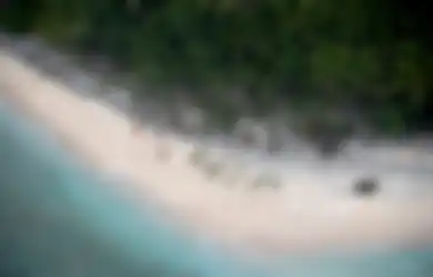 Seperti di Film, Tiga Pelaut Ini Berhasil Diselamatkan dari Pulau Terpencil Setelah Menulis Kata Tolong di Pasir Pantai