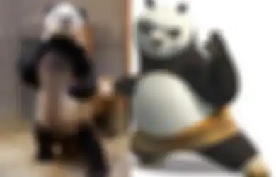 Ri Ri, Kung Fu Panda di Dunia Nyata