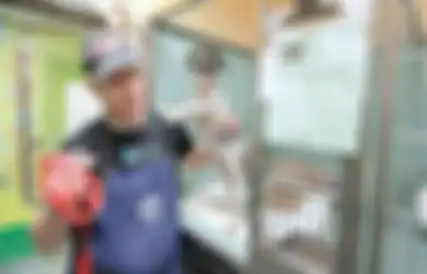 Mark Imhof, Pria yang Mencukur Bulu Anjing Secara Gratis Agar Mereka Bisa Diadopsi