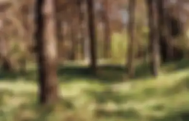 Foto-foto Aksi Kamuflase Sniper Jerman, Dapatkah Anda Menemukan Mereka?