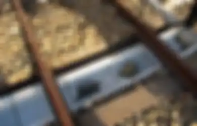 Demi Selamatkan Penyu, Jepang Membuat 'Turtle Tunnels' Tepat di Bawah Rel Kereta Api