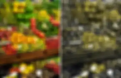 Mengenal Lebih Jauh Tentang Buta Warna