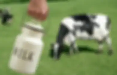 Mitos Tentang Hormon Sapi pada Susu dan Pubertas Dini