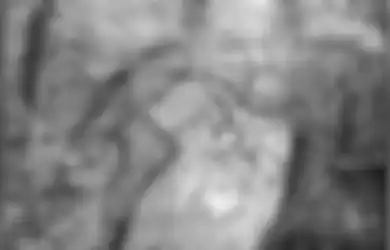 Pria Misterius dalam Lukisan Pablo Picasso