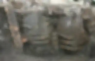 Mengungkap Riwayat Makanan Favorit Lewat Fosil Tinja