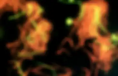 Menunggu Suhu Bumi Mencapai 100 Derajat Celcius