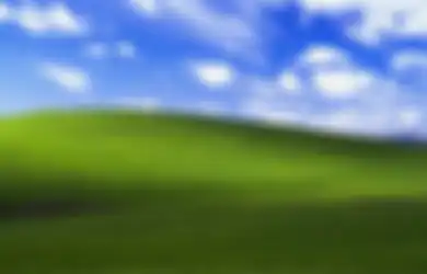 Penyesalan Sang Fotografer Wallpaper Windows XP yang Legendaris