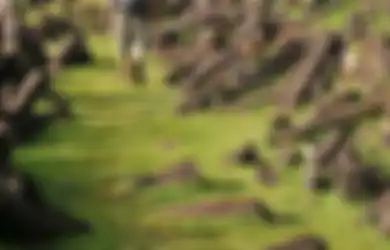 Menapaki Pemaknaan Masyarakat tentang Gunung Padang