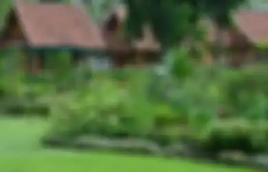Masih Ada Sisa Hari Menikmati Romantisnya Menginap Dikelilingi Mawar