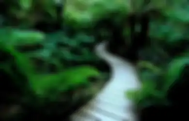 Jangan Takut Ambil Jalan Yang Beda