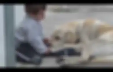 [Video] Saat Seekor Anjing Berteman dengan Anak Down Syndrome