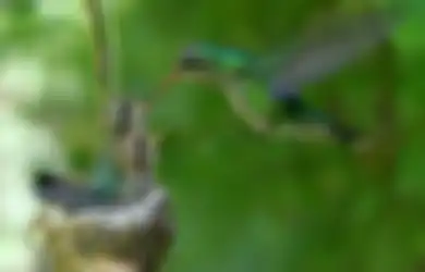Kedamaian Pikiran akan Mengendapkan Masalah dengan Sendirinya