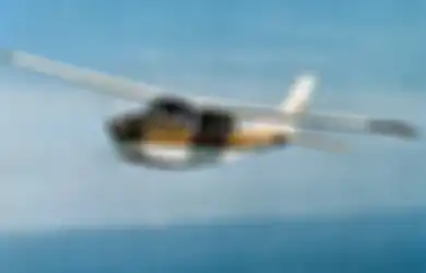 Kisah 2 Pilot Bernama Sama yang Selamat dari Kecelakaan Pesawat yang Sama Pula