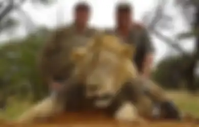 Walter Palmer, Dokter Gigi Asal Amerika Pembunuh Cecil Singa Paling Populer di Afrika