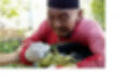 Kakek Suwandi, Pengemis Berkostum Winnie The Pooh Mengaku Punya Tujuh Istri