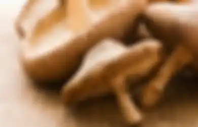 Jupe Meninggal Dunia: Benarkah Jamur Shiitake dapat Membunuh Penyebab Kanker Serviks?
