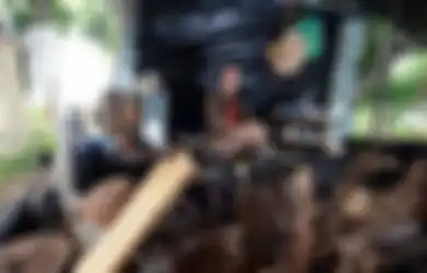 Tinggalkan Pekerjaannya, Wanita Ini Hidup tanpa Uang demi Menjaga Lingkungan