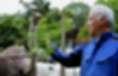 Naoto Matsumura, Orang Terakhir di Fukushima yang Memberi Makan Semua Binatang yang Tertinggal Pascatsunami Jepang 2011