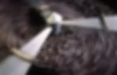 Seni Para Penggoreng Kopi