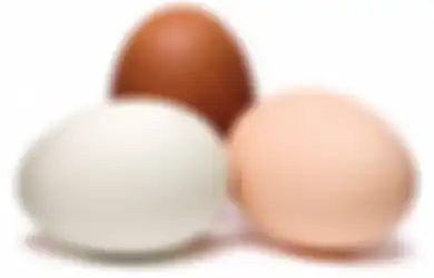 Benarkah Kebanyakan Makan Telur Bikin Bisul?