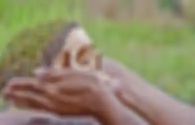 Seorang Pria di India Dipenggal sebagai Persembahan oleh Penganut Sekte Ilmu Hitam