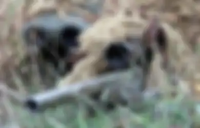Sniper Berawal dari Tradisi Menembak Burung Snipe di Inggris