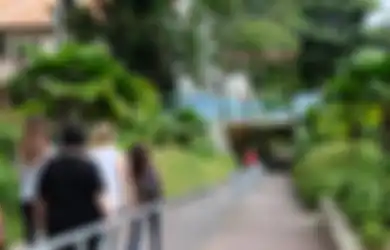 PBB Rilis Daftar Tempat Tinggal Terbaik di Dunia, Singapura di Peringkat Dua