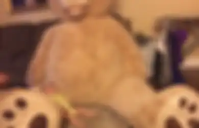 Kakek Ini Membelikan Boneka Beruang Berukuran Jumbo untuk Cucunya yang Masih Bayi