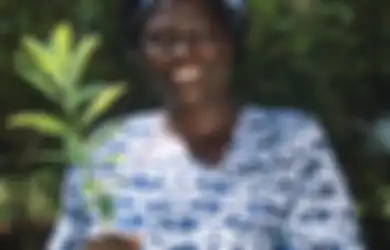 Pohon Perdamaian Wangari Maathai