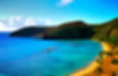 AS Bisa Terkena Hukum Internasional Jika Kerajaan Hawaii Masih Eksis