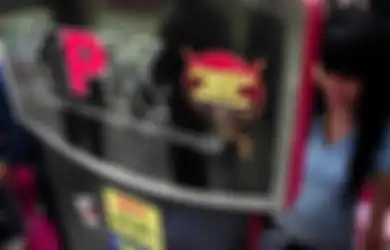 Apakah Anda Bersedia “Korupsi”?