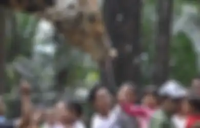Lorong Masa: Krisis Moniter 1998, Satwa pun Rasakan Imbasnya