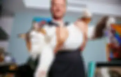 Inilah Calon Kucing Terbesar di Dunia dengan Berat 13 Kilogram dan Panjang 1,2 Meter