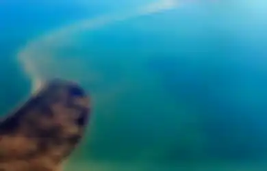Misteri Jembatan Adam yang Konon Dibuat Hanoman dan Rama untuk Menjemput Shinta di Alenka?