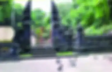 Mengenal Polah Kelelawar dan Kera di Alas Kedaton